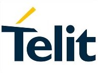 Dominikus Hierl: “Telit has been working to achieve a vision of simplicity for M2M communications”