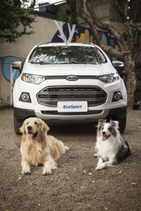 Ecosport_Pets-2657