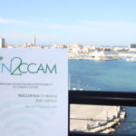 IN2CCAM to integrate CCAM services in the transport system: New project kicks off!