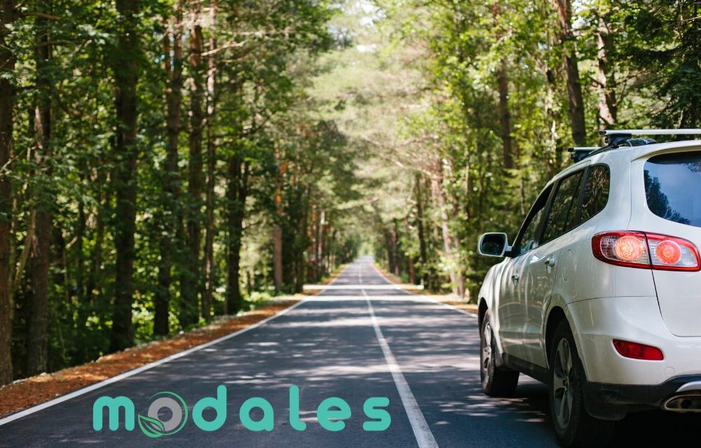 Discover MODALES’s final findings to reduce emissions from road vehicles