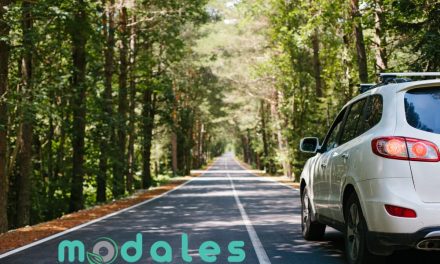 Discover MODALES’s final findings to reduce emissions from road vehicles