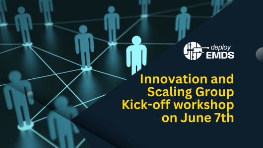 The deployEMDS Innovation and Scaling Group kicks off with a collaborative workshop
